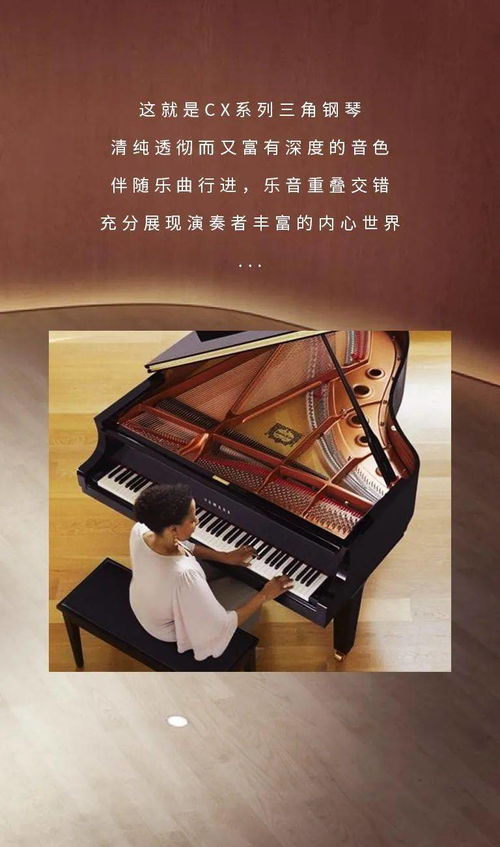 產(chǎn)品介紹 cx系列 這是一臺(tái)會(huì)唱歌的鋼琴